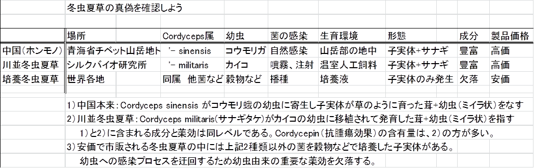 冬虫夏草の定義